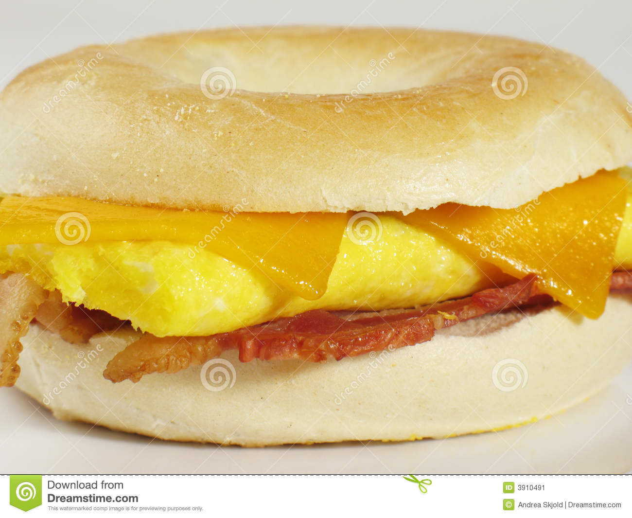 Bagel Sandwich Stock Image   Image  3910491