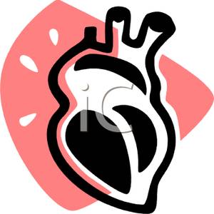 Clip Art Heart And Circulatory System Clipart