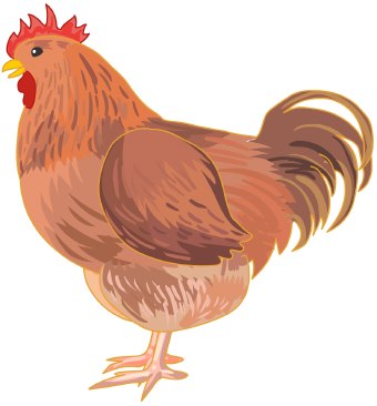 Clip Art Of A Brown Chicken With A Red Comb Standing In Profile
