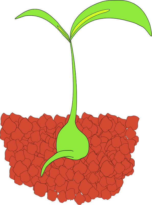 Description  This Clip Art Image Features A Seed Sprouting From Soil