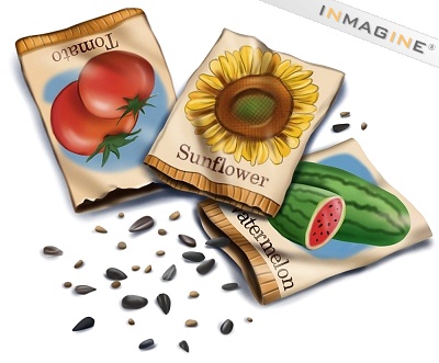Growing Seed Clipart