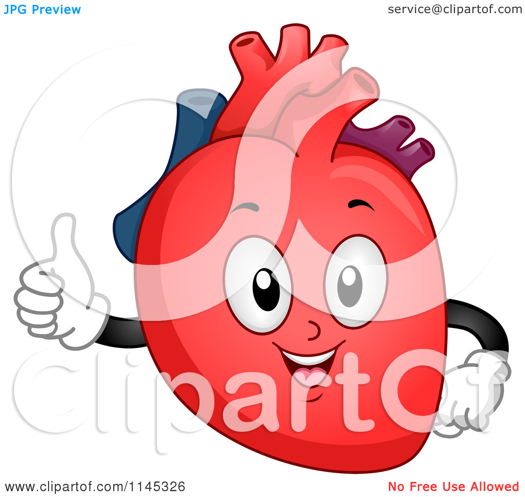 Human Heart Clip Art   Clipart Panda   Free Clipart Images