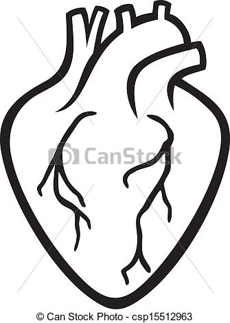 Human Heart Clipart Black And White Can Stock Photo Csp15512963 Jpg