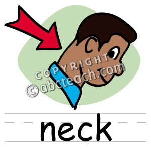 Neck Clipart Neckrgblabeled Pw Png