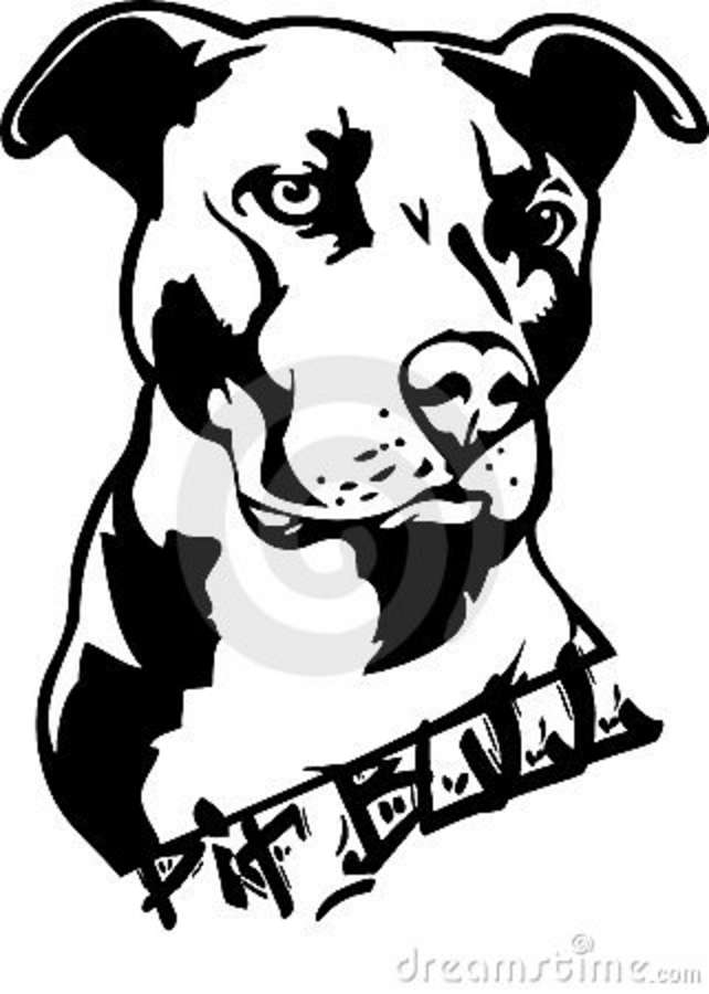 Pit Bull Dog Illustration Stock Photography   Image  6090422