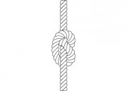 Rope Knot Clipart   Free Clip Art Images