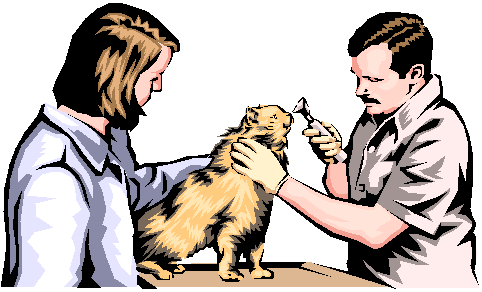 Search Results For  Veterinarian Clipart