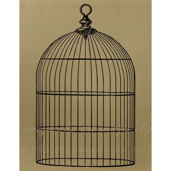 Bird Cages No  1   Images Clip Art
