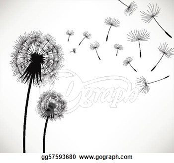 Dandelions Blowing In The Wind Drawing Car Tuning