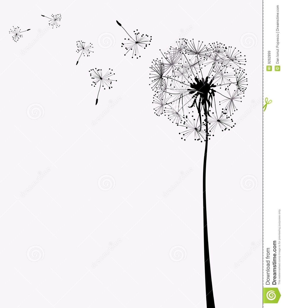 Dandelions Royalty Free Stock Images   Image  9262899
