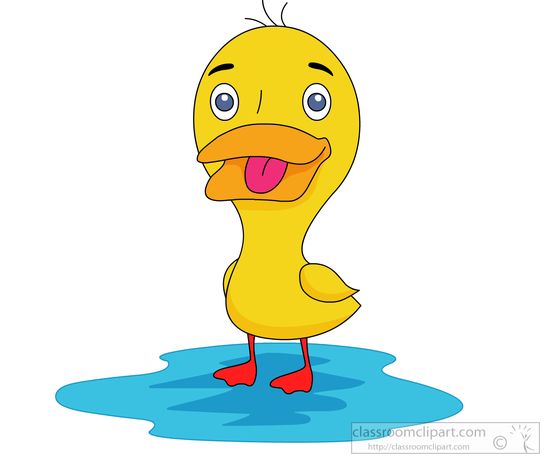 Duck Clipart   A Cute Duck Standing Puddle Water Clipart   Classroom