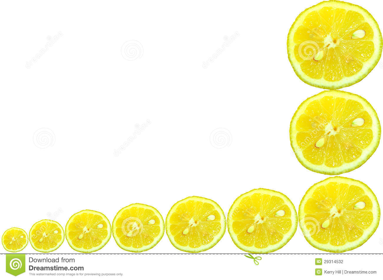 Fresh Lemon Slices Isolated Made Into A Collage Border With Blank Text    