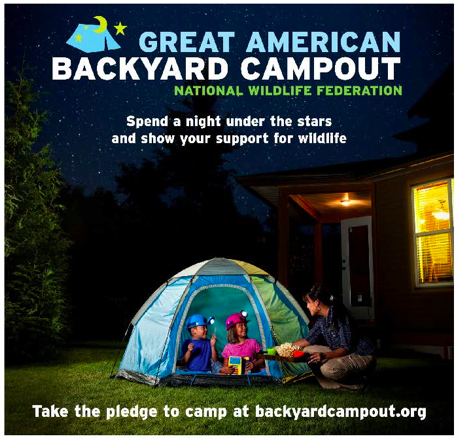 Join The Great American Backyard Campout Savvy Sassy Moms