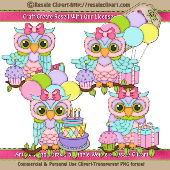 Lil Birthday Owl Girls Pink Blue Lime Yellow Party By Tahdahstudio  1    