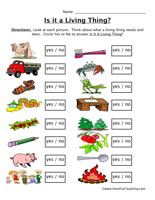 Living And Non Living Things Worksheet