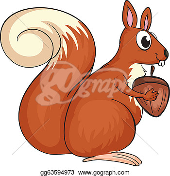 Of A Squirrel On A White Background  Clipart Drawing Gg63594973