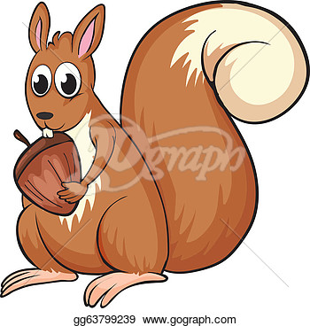 Of A Squirrel On A White Background  Clipart Drawing Gg63799239