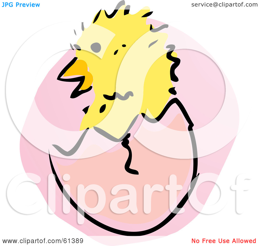 Rf  Clipart Illustration Of A Fluffy Baby Chick Hatching From An Egg