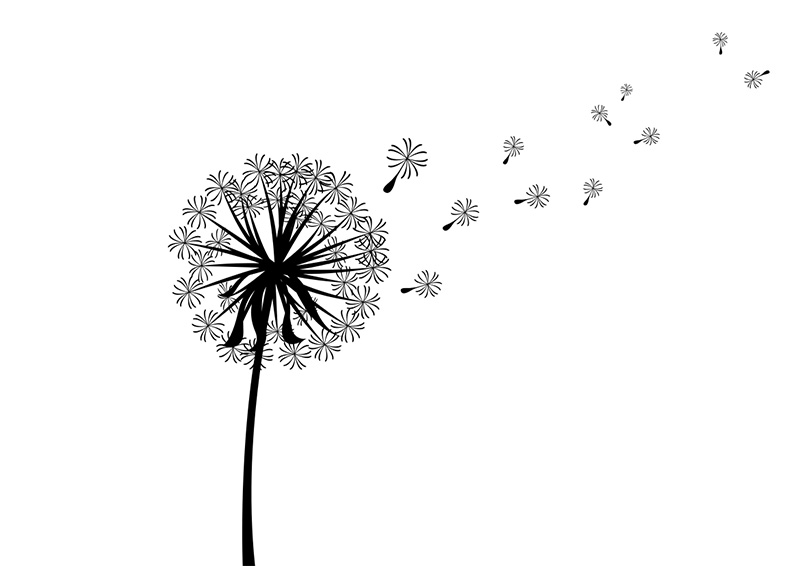 Scattered Dandelion Silhouette   Superawesomevectors