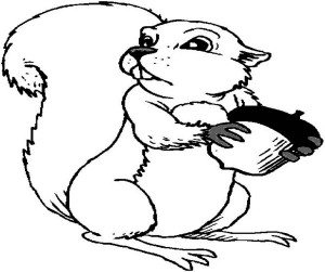 Squirrel With Acorn Coloring Page   Clipart Panda   Free Clipart