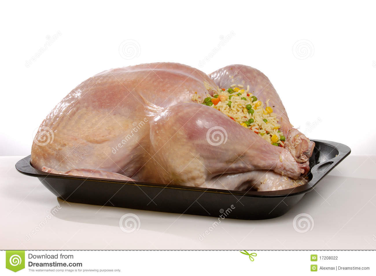 Stuffed Turkey Stock Photography   Image  17208022