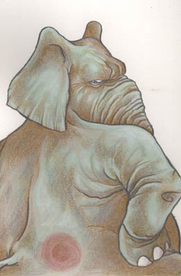Cartoon Elephant Bum