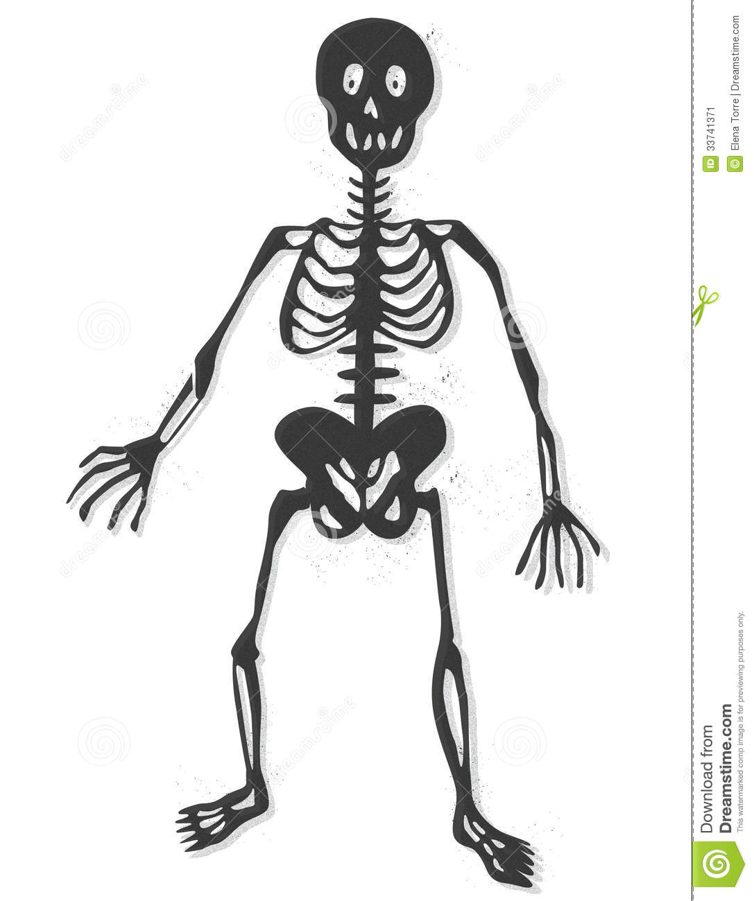 Illustration Of A Funny Human Skeleton Isolated   Vector Eps File
