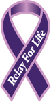 Relay For Life Car Magnet Breast Cancer Awareness Fund Raising Off