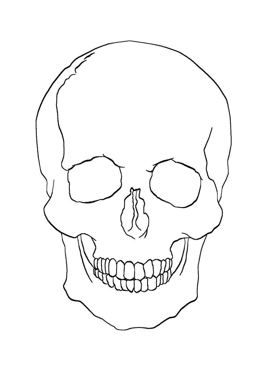 16 Skull Outline Drawings Free Cliparts That You Can Download To You