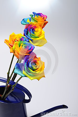 Bouquet Of Happy Flower   Rainbow Rose With Colored Petals 