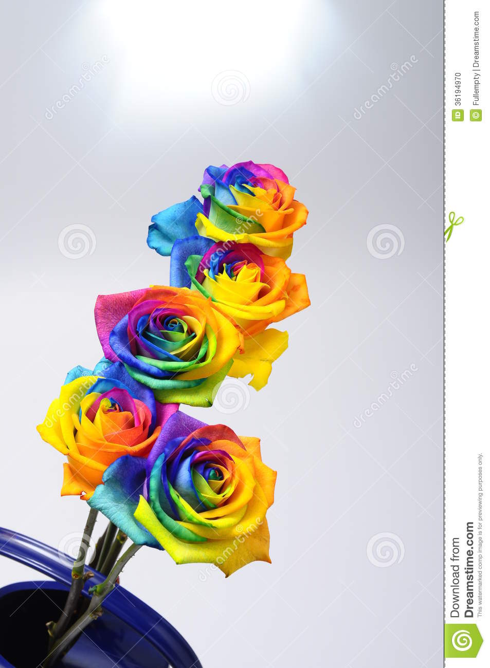 Bouquet Of Happy Flower   Rainbow Rose With Colored Petals