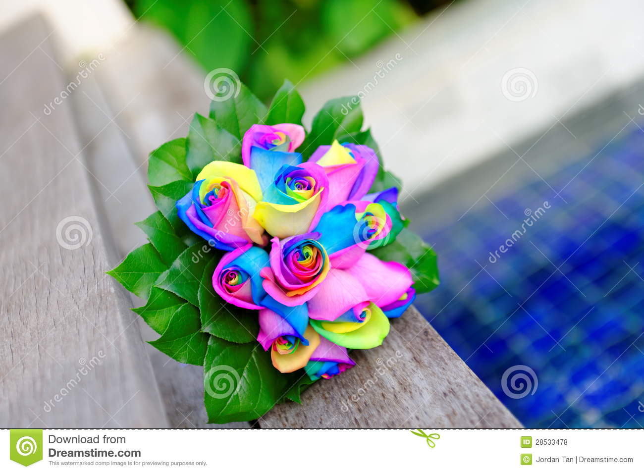 Bouquet Of Rainbow Colored Roses Royalty Free Stock Photos   Image    