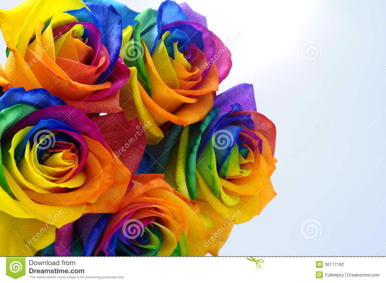 Bouquet Of Rainbow Rose Stock Photography   Image  36177192