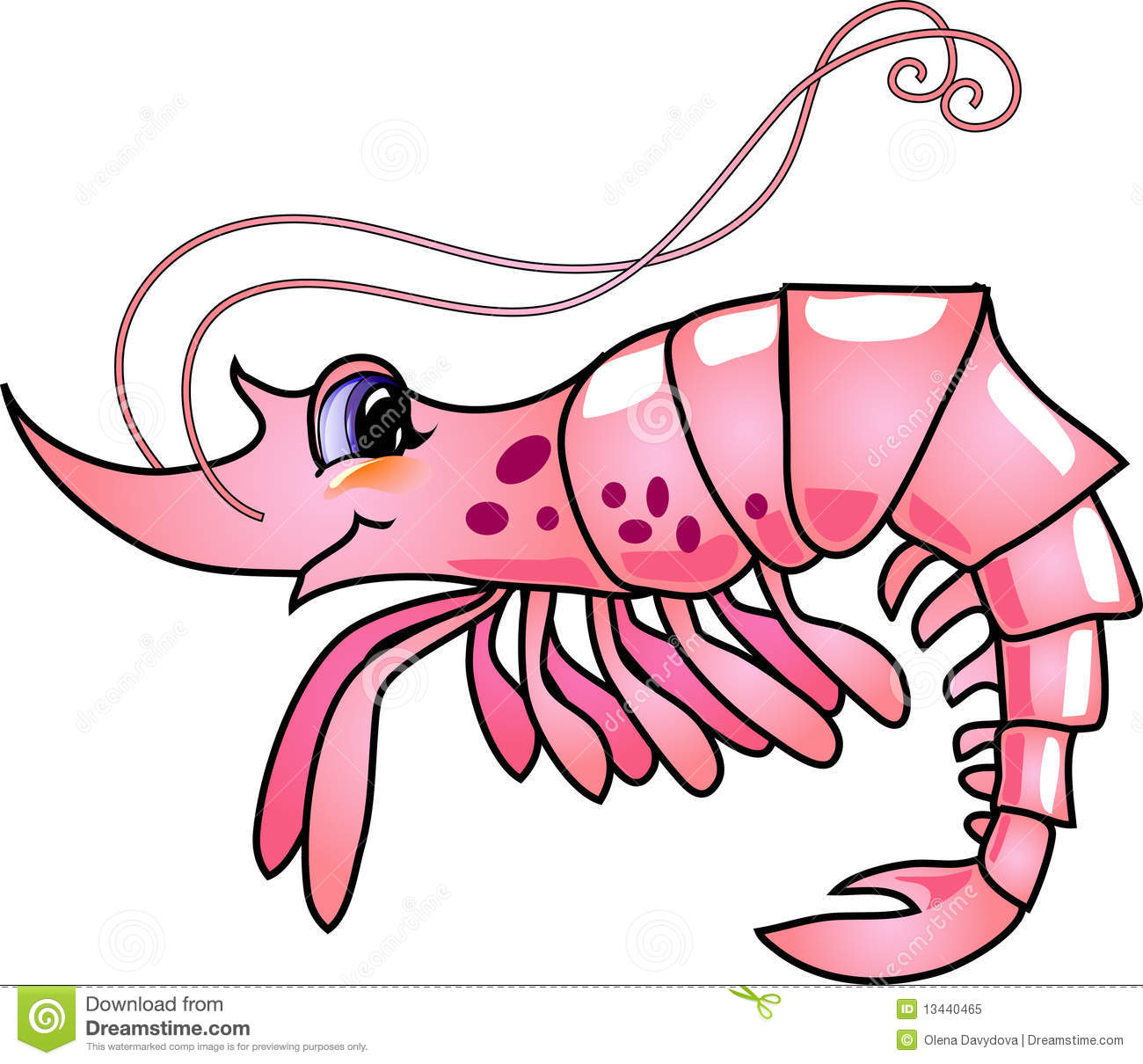 Cartoon Funny Shrimp On White Background  Vector Illustration