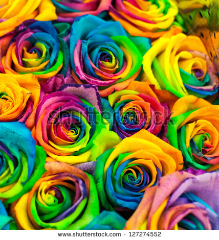 Colorful Roses Background Bouquet Of Colored Roses