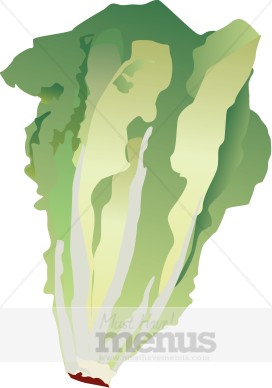 Eps Jpg Word Png Tweet Lettuce Clipart A Bunch Of Romaine Lettuce