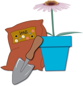 Flower Seed Clipart Bag Seeds