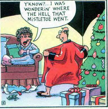 Funny Pictures  Christmas Humor   Christmas Humor And Funny Christmas    