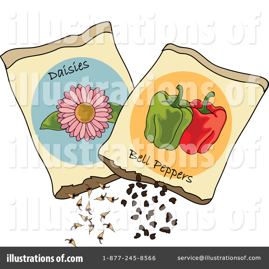 Go Back   Images For   Flower Seed Clipart