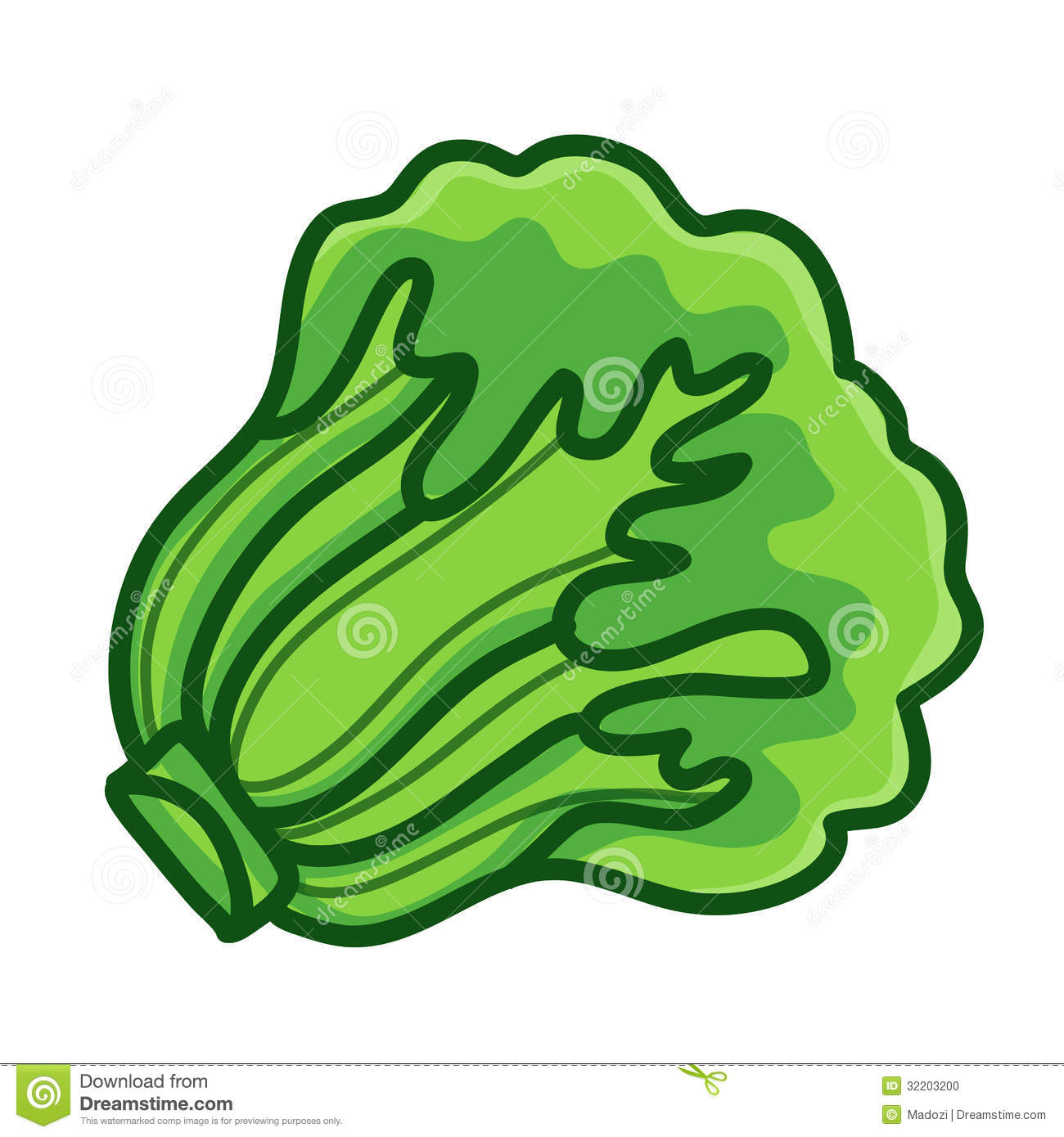 Green Lettuce Cartoon Isolated Illustration Stock Photo   Image