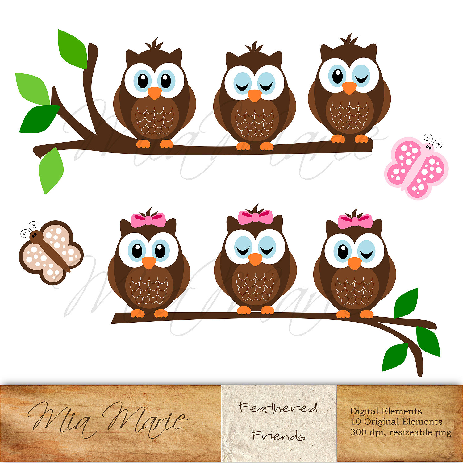Instant Download Digital Clip Art Owl Clipart Owl By Mymiamarie