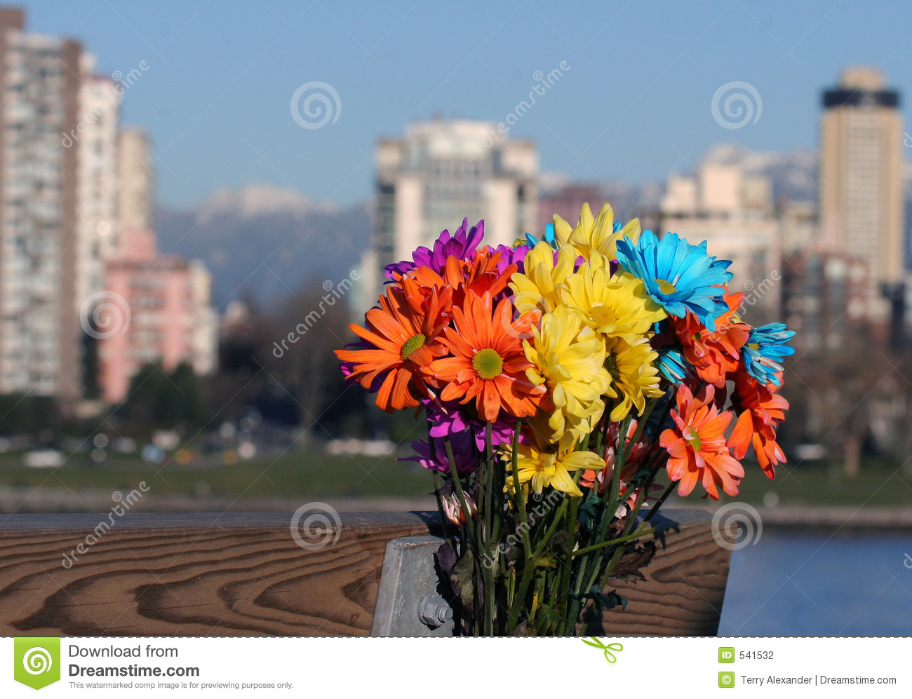 Rainbow Bouquet Stock Photography   Image  541532