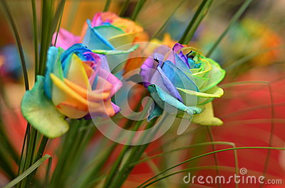 Rainbow Roses Stock Photo   Image  40395314