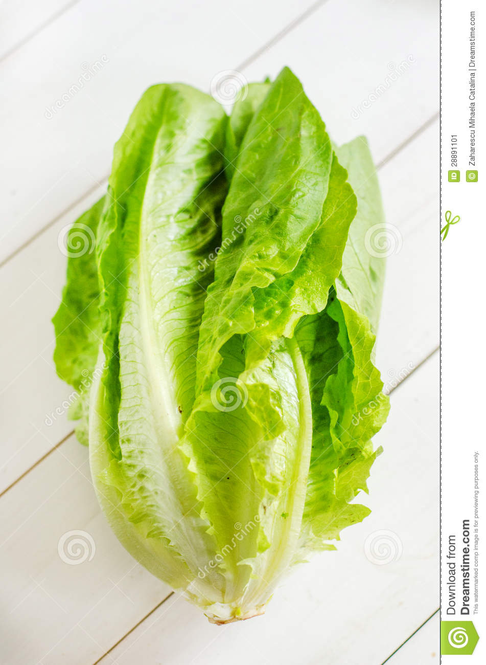 Romaine Lettuce Stock Image   Image  28891101
