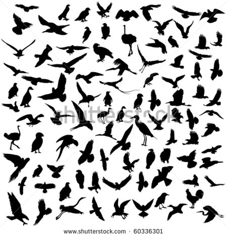 Set Of Birds Silhouette