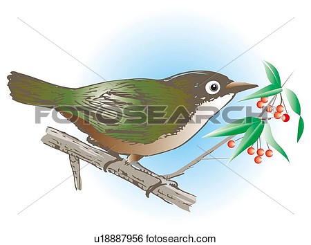 Stock Illustration Of White Eye Perching On Branch Side View