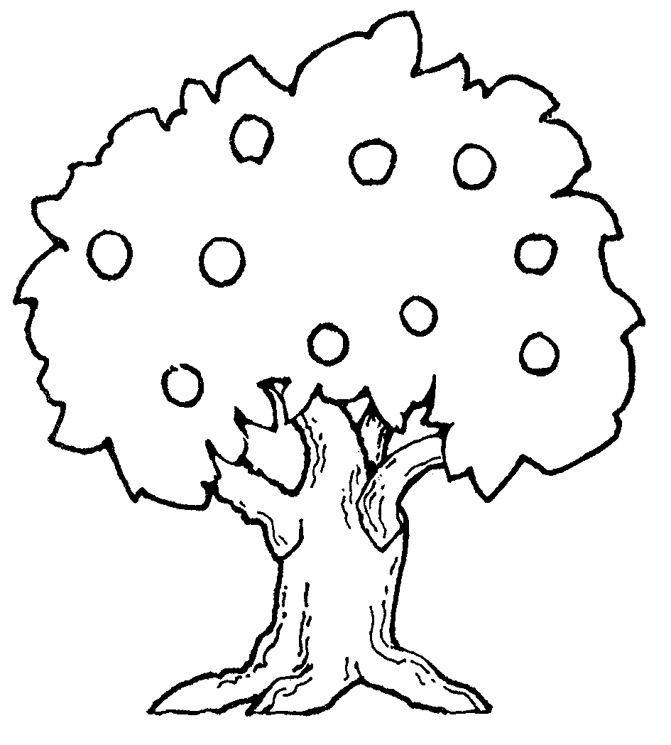 Tree Drawings Black And White   Cliparts Co
