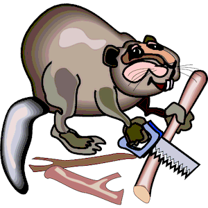 Beaver   Busy Clipart Cliparts Of Beaver   Busy Free Download  Wmf
