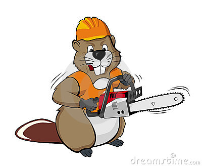 Beaver Wearing A Helmet And Holding A Chain Saw Stock Photos   Image