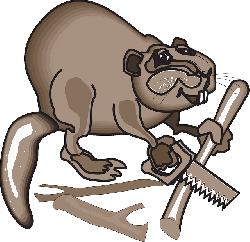 Busy Cartoon Saw Beaver Art Animal Business Clipart